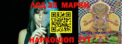 крисы Гагарин