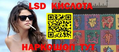 MDMA Premium VHQ Гатчина