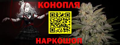 крисы Гагарин