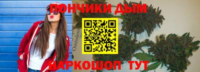 крисы Гагарин