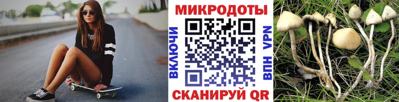 купить наркотики сайты  Медногорск  Галлюциногенные грибы прущие грибы 