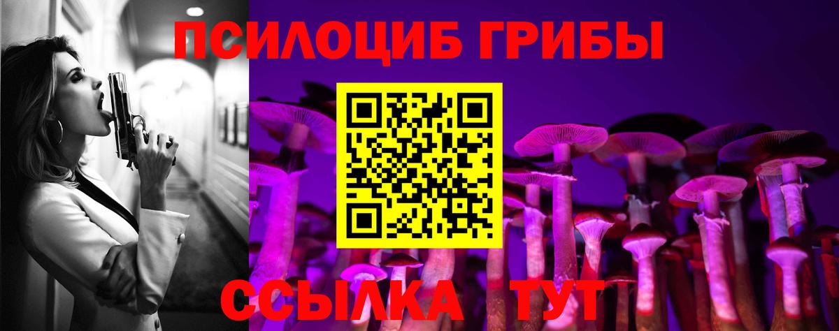 Медногорск  Псилоцибиновые грибы Magic Shrooms  Вход с VPN 